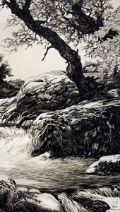 Water’s Whisper